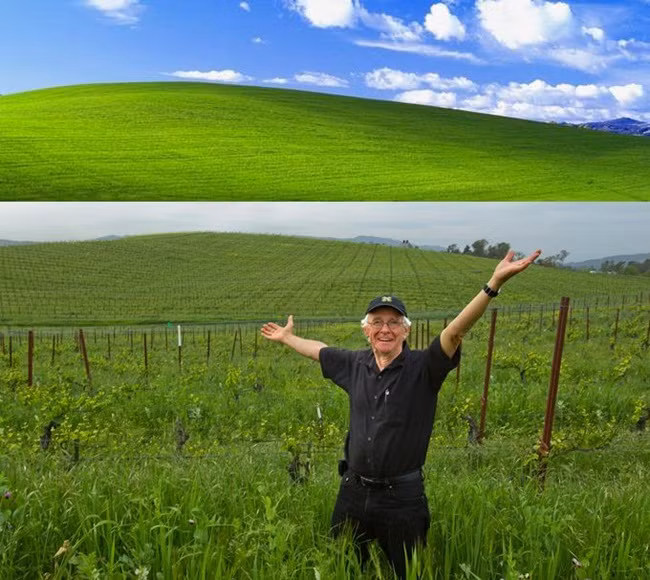 Sau đó, Charles tải ảnh lên Corbis - kho ảnh do Bill Gates - người sáng lập Microsoft sở hữu lên mạng. Năm 2000, Microsoft ngỏ ý muốn dùng làm nền hình nền cho Windows XP.