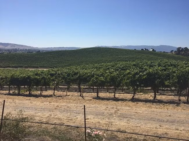 Ngoài bức ảnh ngọn đồi này, một hình nền khác của Windows XP cũng được Microsoft mua lại của một nhiếp ảnh gia là hình nền "Autumn" (mùa thu) nổi tiếng.