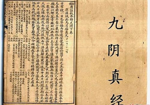 Cuu am chan kinh la vo cong co that trong lich su?-Hinh-4