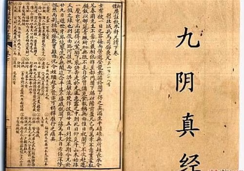 Cuu am chan kinh la vo cong co that trong lich su?-Hinh-4