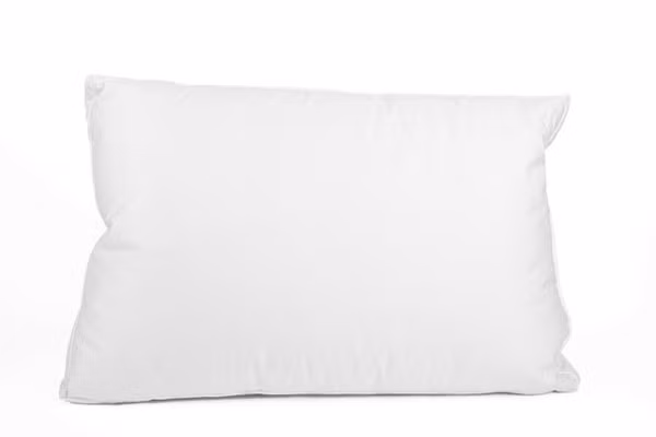 Nhung do vat trong nha la noi “an nap” cua nhung mam benh