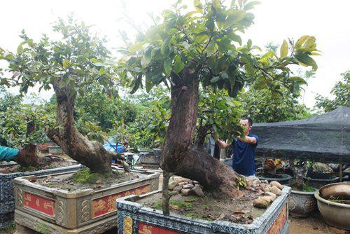 Cap Tien dong - Ngoc nu cua vua mai vang Yen Tu