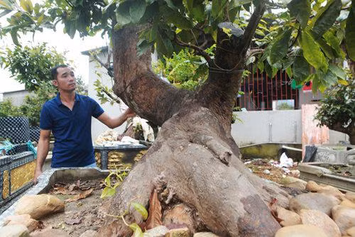 Cap Tien dong - Ngoc nu cua vua mai vang Yen Tu-Hinh-5