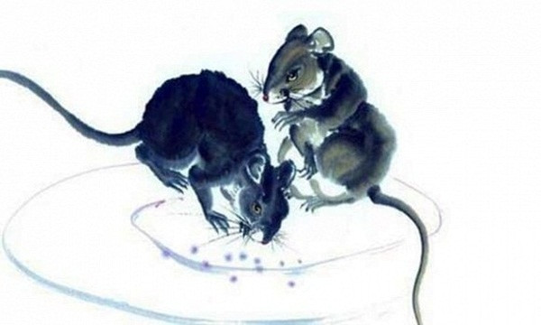 Con giap tai van thanh cong ruc ro trong thang 8 duong lich-Hinh-3