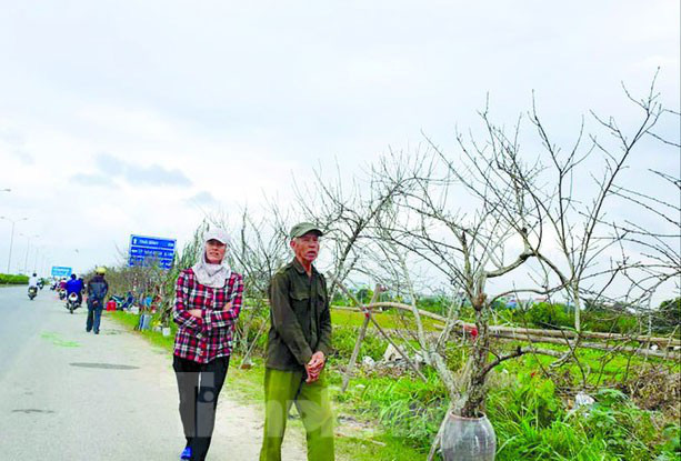 The nao de phan biet dao rung voi dao trong?