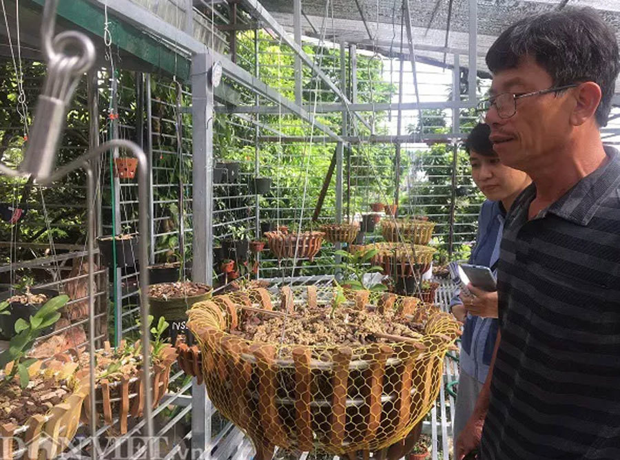 Chu vuon lan dot bien mong san giao dich lan tren mang 'do sap'-Hinh-7