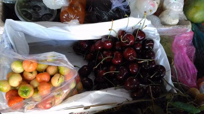 Cherry My, Canada giam gia 'sap san', nha nhap khau lo lo von-Hinh-2