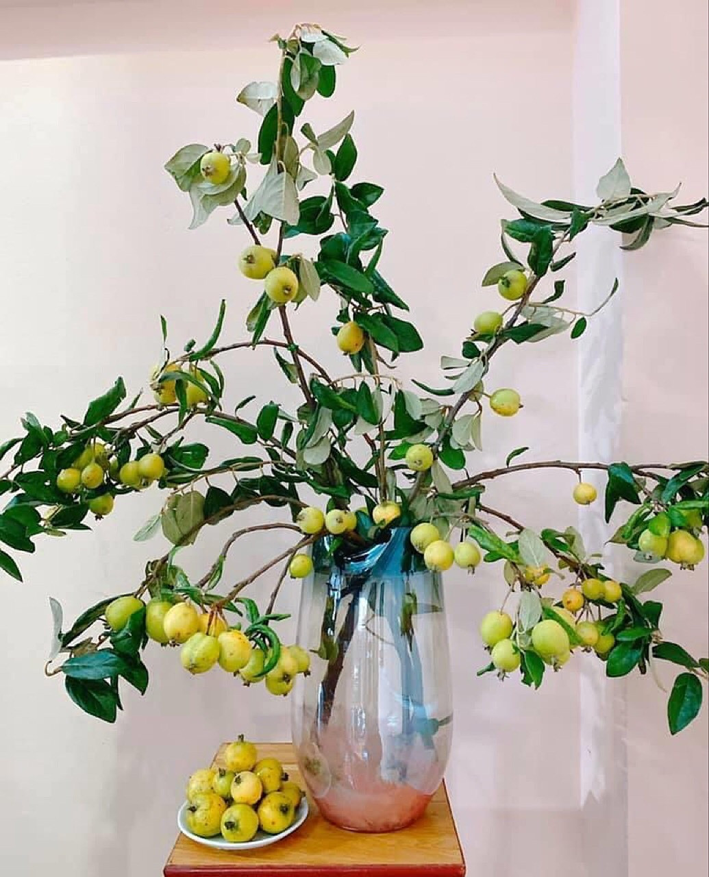 Tao meo vao vu, chi em ruoc canh triu qua ve cam choi-Hinh-5