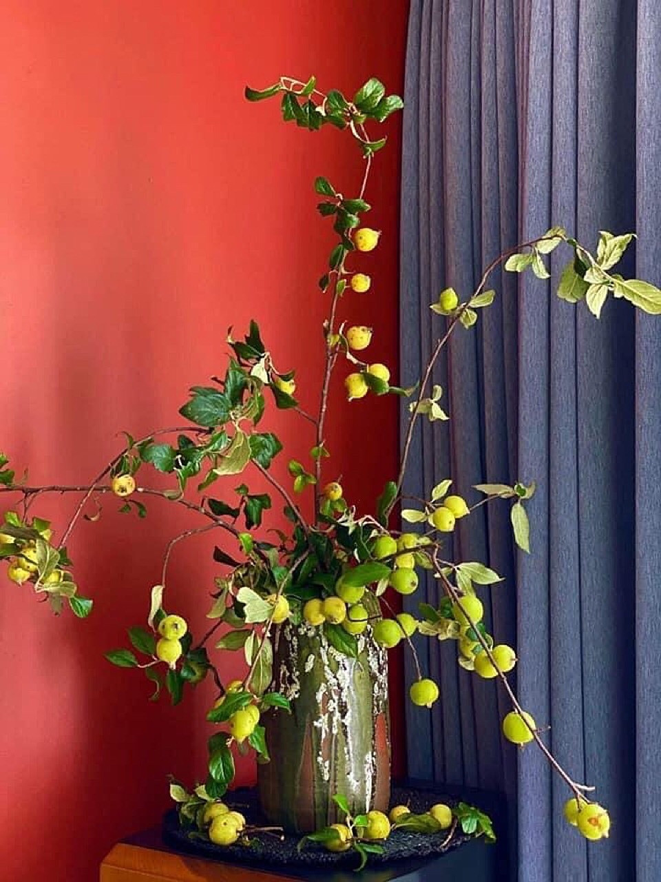 Tao meo vao vu, chi em ruoc canh triu qua ve cam choi-Hinh-2