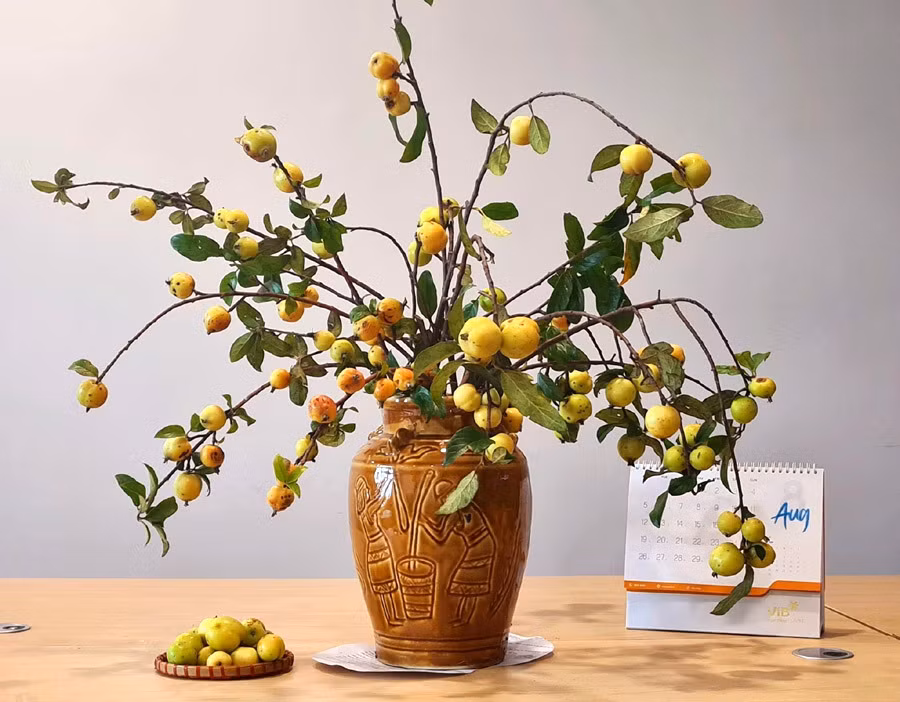 Tao meo vao vu, chi em ruoc canh triu qua ve cam choi-Hinh-4