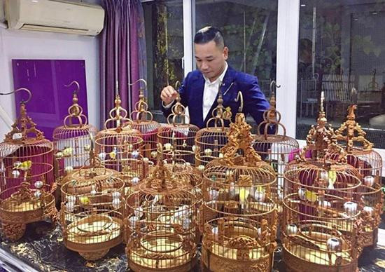 Dan chim quy toc dot bien gen sieu quy hiem tri gia 10 ty-Hinh-2