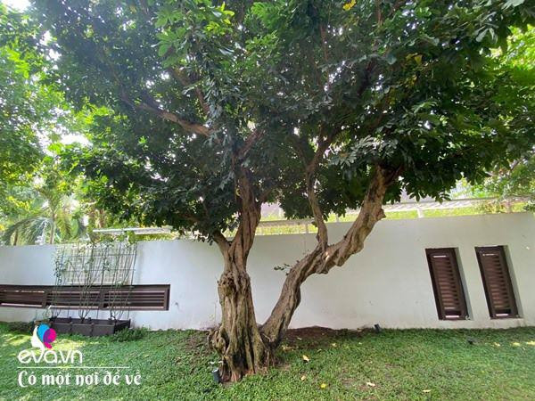 9X Sài Gòn gây sốt giới 'nghiện nhà' với biệt thự khủng - Hình 16 9X Sai Gon gay sot gioi 'nghien nha' voi biet thu khung-Hinh-16