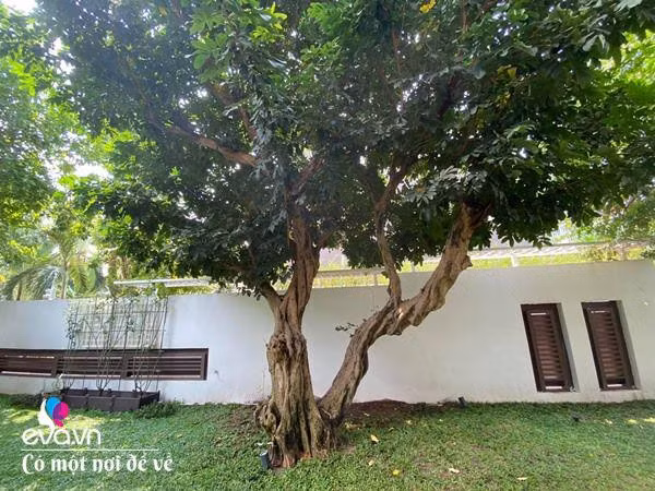 9X Sai Gon gay sot gioi 'nghien nha' voi biet thu khung-Hinh-16