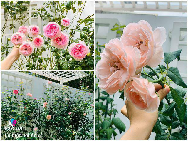 9X Sài Gòn gây sốt giới 'nghiện nhà' với biệt thự khủng - Hình 15 9X Sai Gon gay sot gioi 'nghien nha' voi biet thu khung-Hinh-15