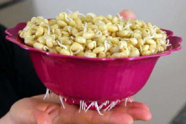 6 thuc pham moc mam khong he doc ma la 