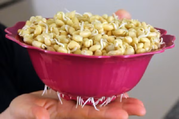 6 thuc pham moc mam khong he doc ma la 