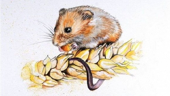 Tuan moi nhung con giap cau duoc uoc thay, tien cung day tui