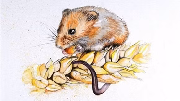 Tuan moi nhung con giap cau duoc uoc thay, tien cung day tui