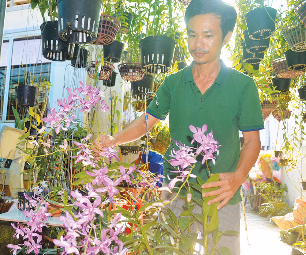 Chang trai trong 2.000 gio lan, co 20 loai lan gia hac quy hiem