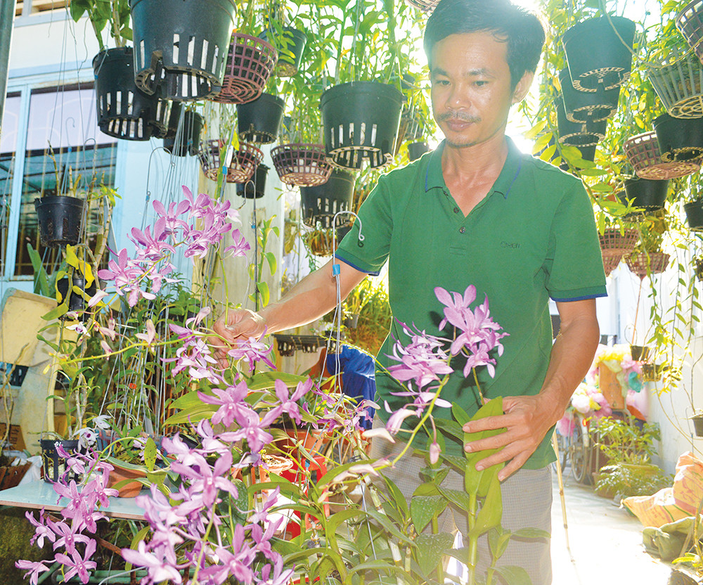 Chang trai trong 2.000 gio lan, co 20 loai lan gia hac quy hiem