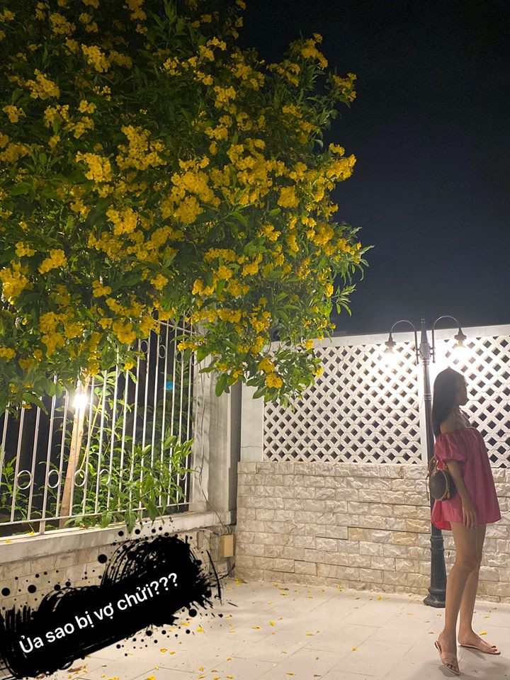 Cong Vinh va loat ong chong showbiz 'co thu voi nghe thuat'