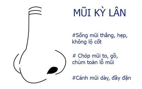 Đàn ông giàu sang phú quý đều sở hữu 1 trong 4 tướng mũi này - Hình 2 Dan ong giau sang phu quy deu so huu 1 trong 4 tuong mui nay-Hinh-2