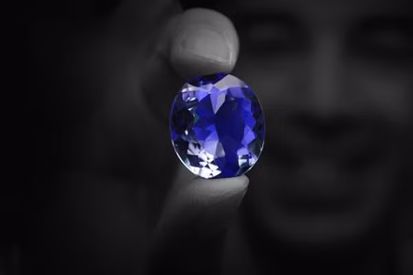 Lời nguyền chết chóc của viên kim cương Hy vọng ảnh 1