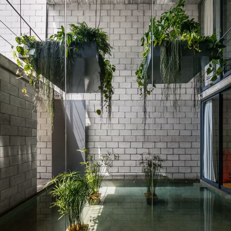 Cây xanh bố trí theo tầng, để từ góc nào chủ nhà cũng có thể nhìn cây cối.