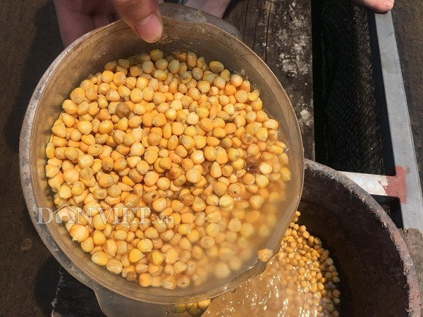 Thu 300 trieu/nam nho nuoi loai ca tung tien vua o ho song Da-Hinh-5