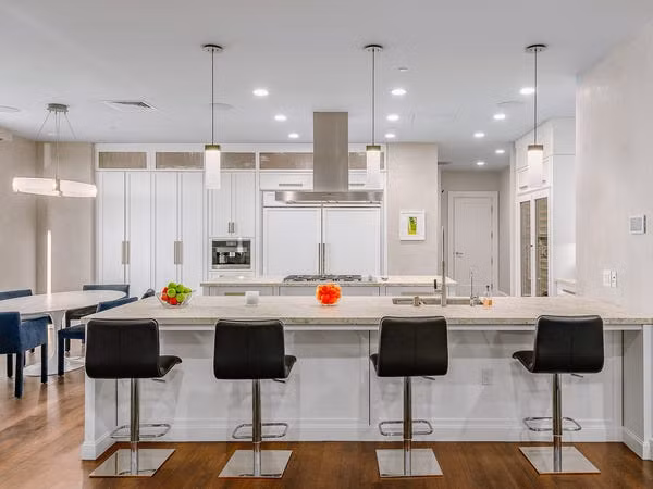 Ngôi nhà được hoàn thiện với bàn ghế, đèn, thảm trải sàn sang trọng và đá cẩm thạch trắng. Ảnh: Michael MacNamara and Jason Speth.