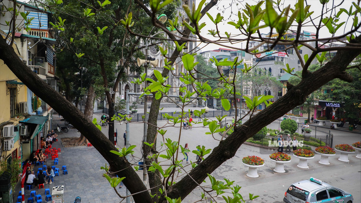 Với nhiều bạn trẻ ở Thủ đô, “trà chanh nhà thờ” là một trong những địa chỉ quen thuộc cho những cuộc hẹn. Ảnh: Hoài Anh