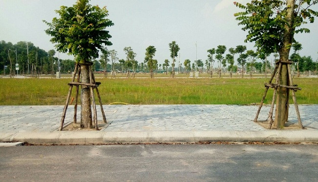 Đổi đời từ 500 triệu đầu tư đất ở quê - 1