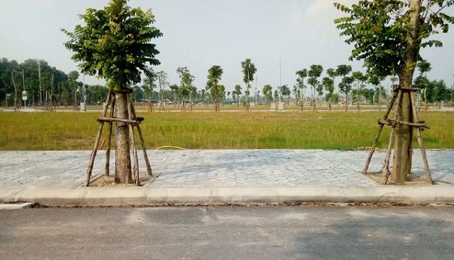 Đổi đời từ 500 triệu đầu tư đất ở quê - 1