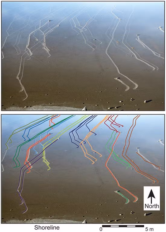 1001 thac mac: Thung lung Chet nam o dau, co dieu gi la ky nhat the gioi?-Hinh-3