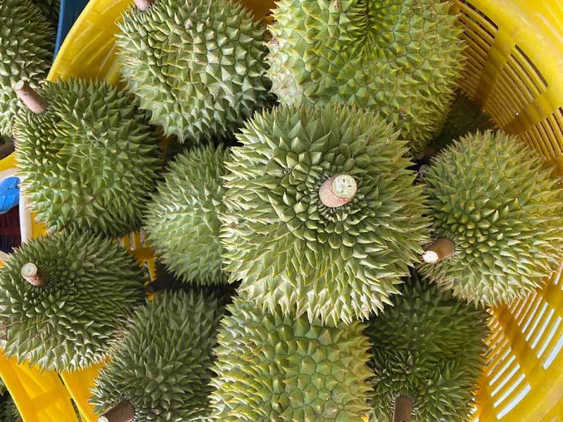 Vao vu tet, Trung Quoc o at gom mua khien trai cay tang gia ky luc