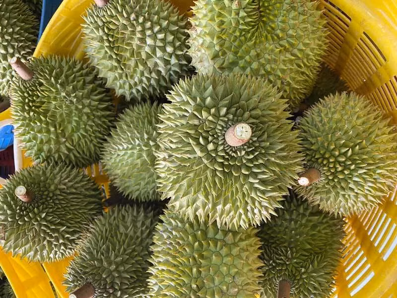 Vao vu tet, Trung Quoc o at gom mua khien trai cay tang gia ky luc