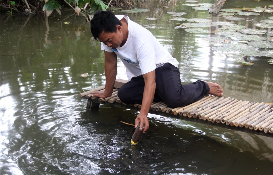 Day ca loc 'bu binh', bon rau bang sua chua het 'dat'
