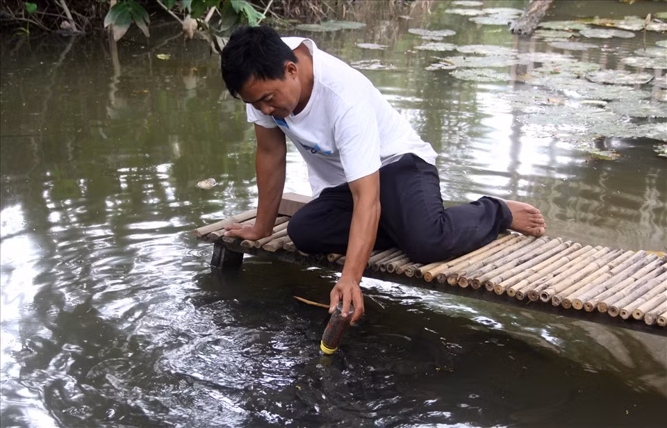 Day ca loc 'bu binh', bon rau bang sua chua het 'dat'