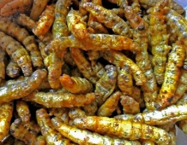 Loai con trung bo nhu sam, chi em tranh nhau mua-Hinh-4