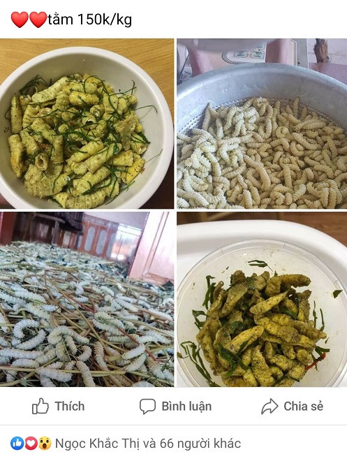 Loai con trung bo nhu sam, chi em tranh nhau mua