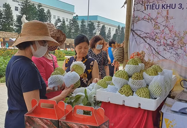 Bi ti hon co gia hang tram nghin dong/kg hut khach Ha thanh-Hinh-3