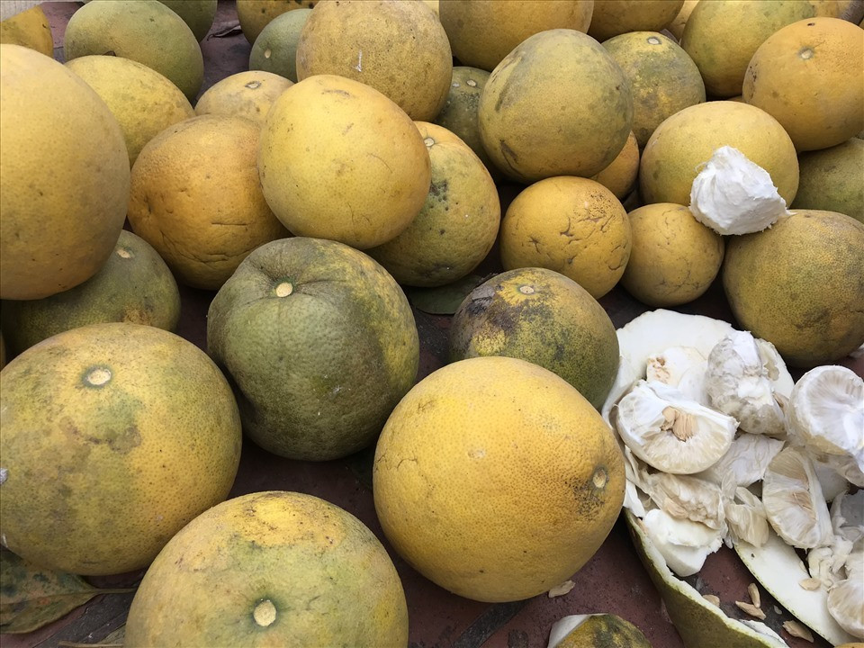 Buoi Dien duoc rao ban ram ro voi gia 5.000 dong/qua-Hinh-3