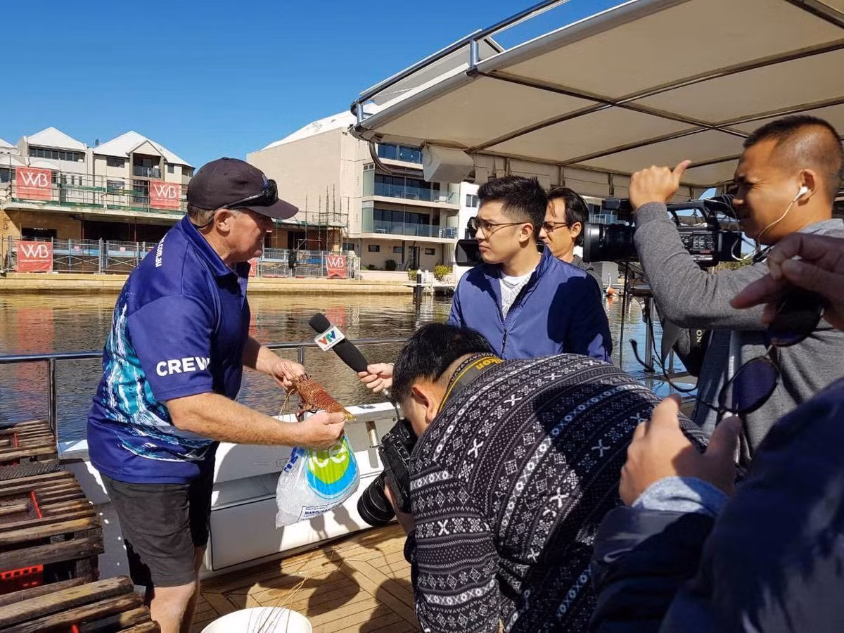 BTV tre nhat Thoi su: 2 bang ngoai ngu, tu choi uoc mo du hoc-Hinh-3