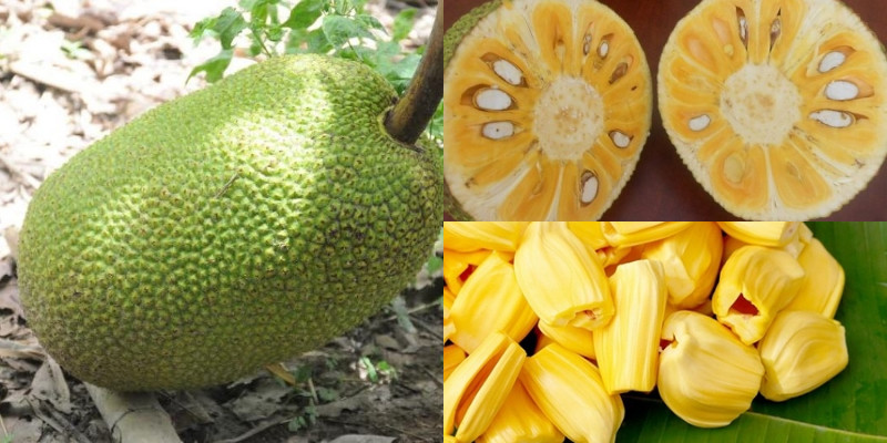 Tuyet chieu chon mit ngon khong hoa chat cua nhung ba noi tro