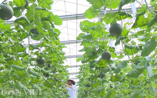 Dua nghe nhac thinh phong cho nhieu trai, ngon ngot hon-Hinh-3