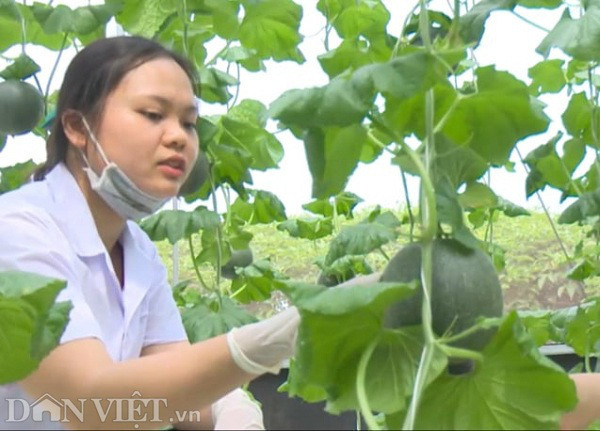 Dua nghe nhac thinh phong cho nhieu trai, ngon ngot hon-Hinh-2