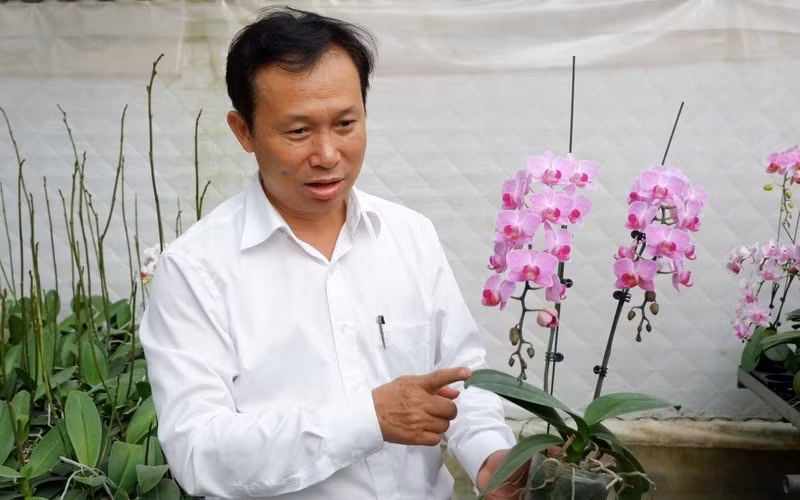 Giao dich 'khung' ve lan dot bien co tin duoc khong?-Hinh-3