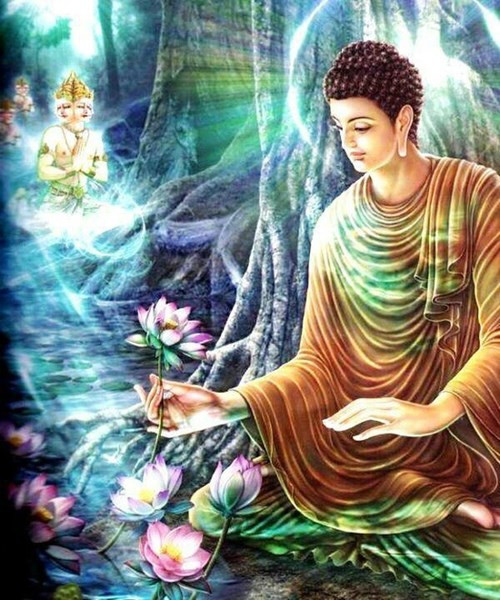 'Rung dong' nhung cai chet hang loat va so 7 bi an-Hinh-2