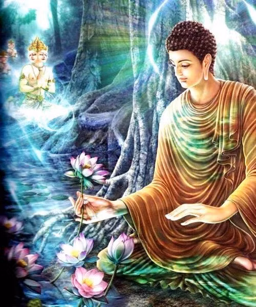 'Rung dong' nhung cai chet hang loat va so 7 bi an-Hinh-2