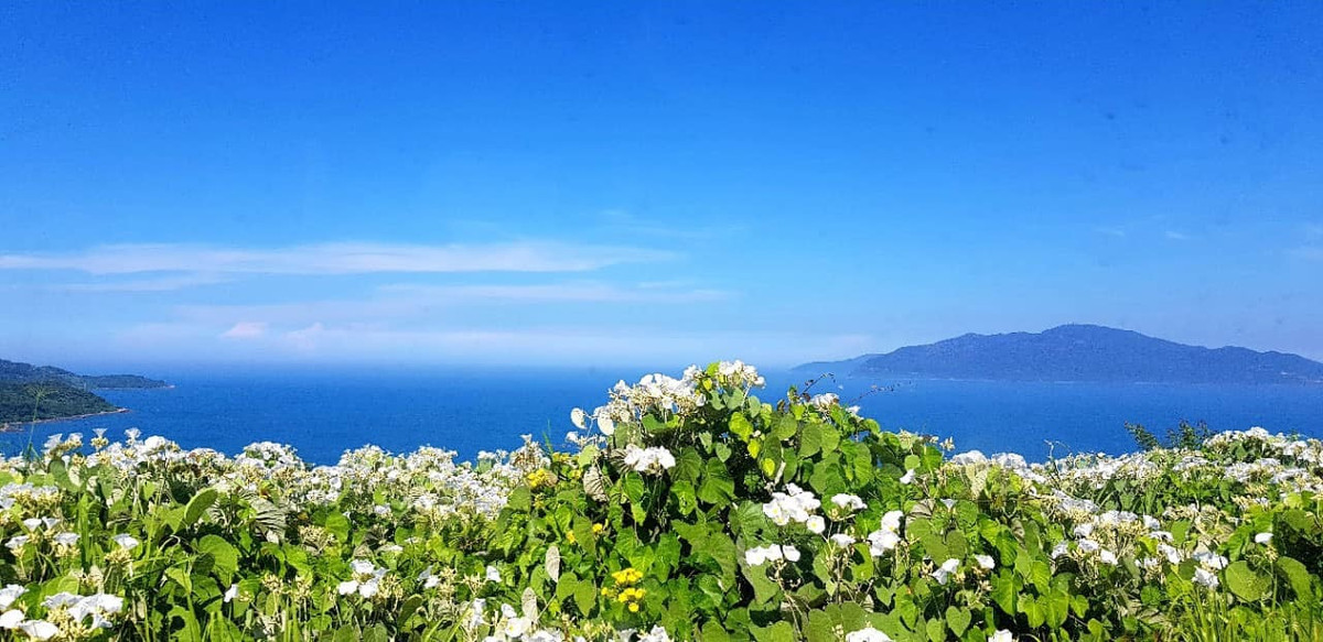 Anh noi toi im lang se duoc mot can nha…